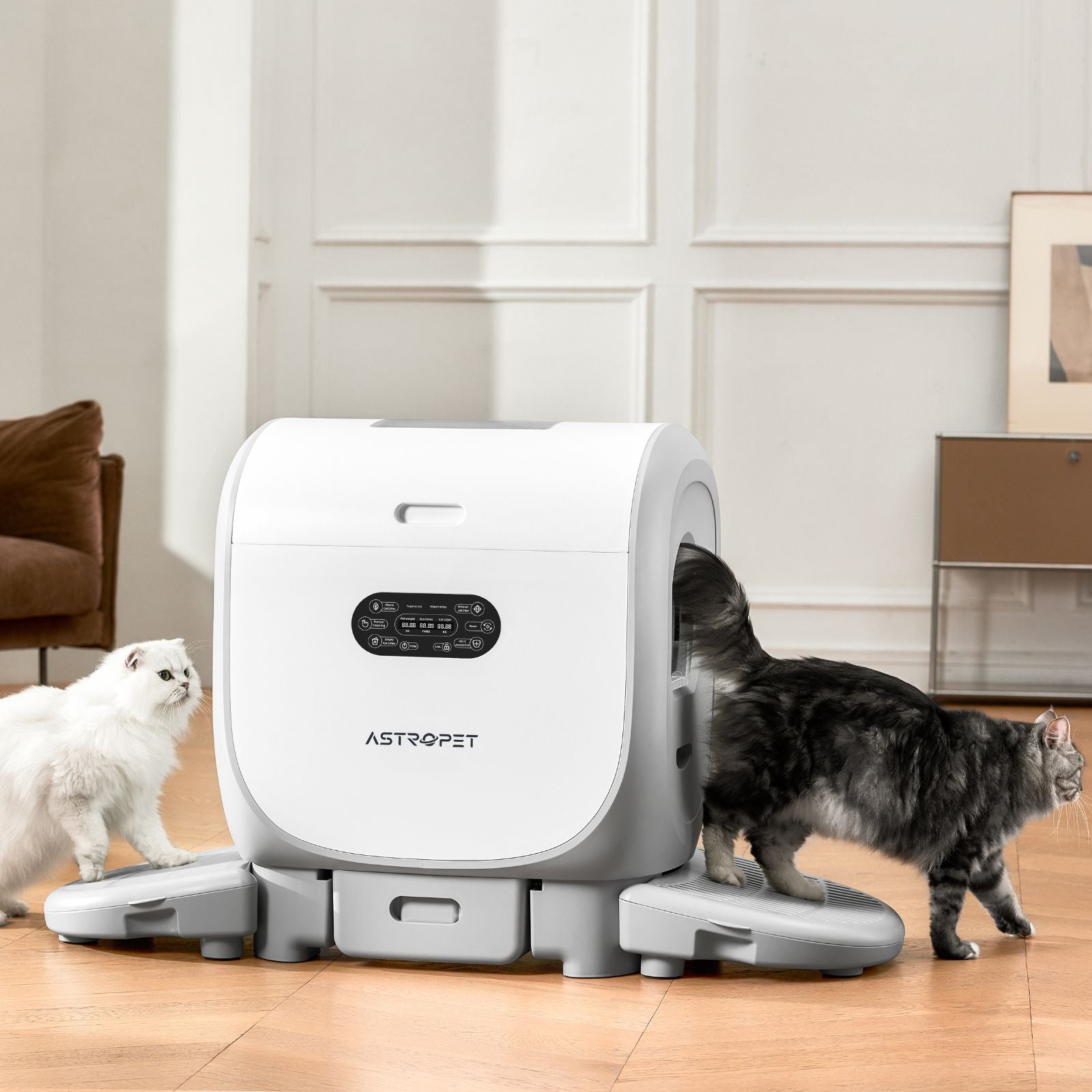 Jupiter Pro - Selbstreinigende Katzentoilette + Smart App