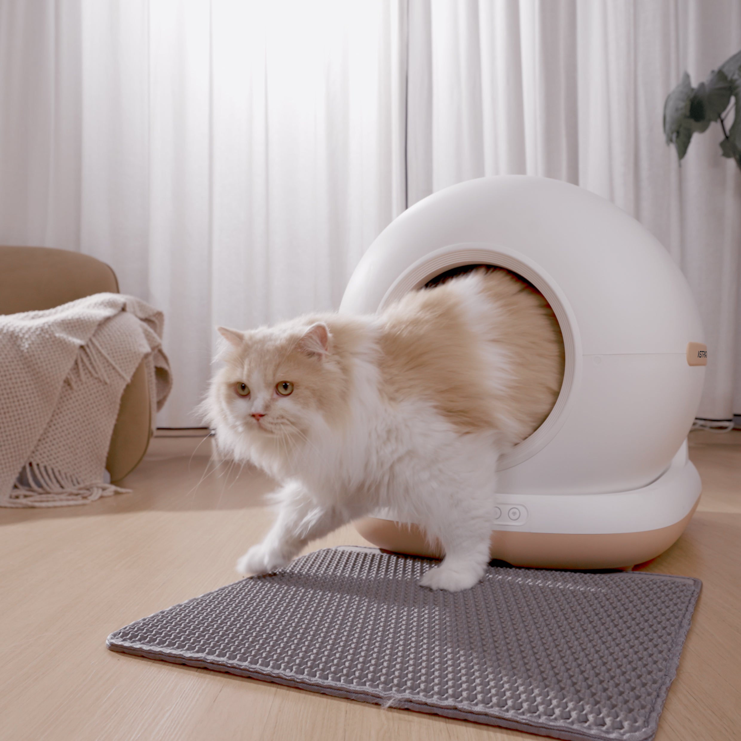 Neptune - Selbstreinigende Katzentoilette + Smart App