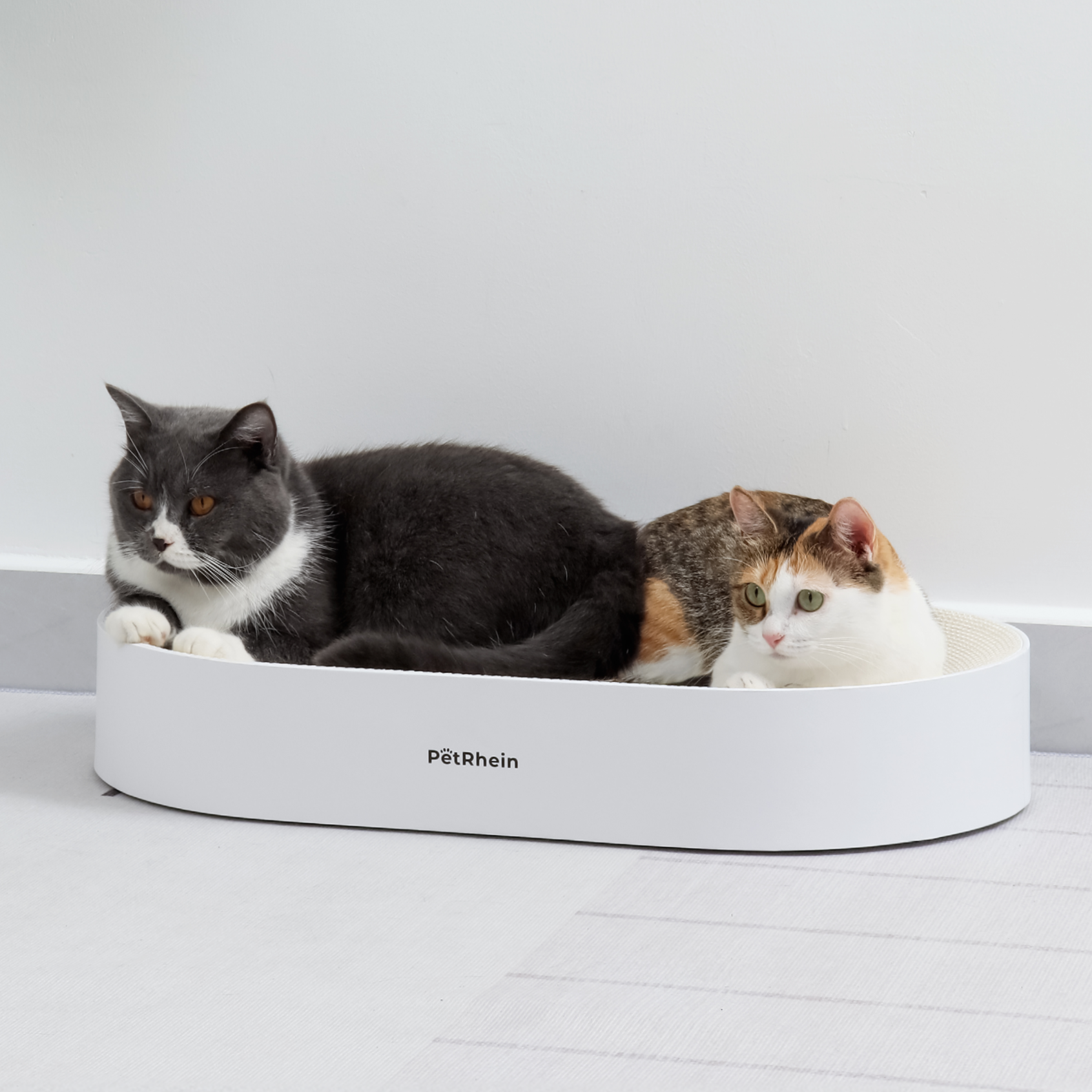 Zen paw in white - scratch board