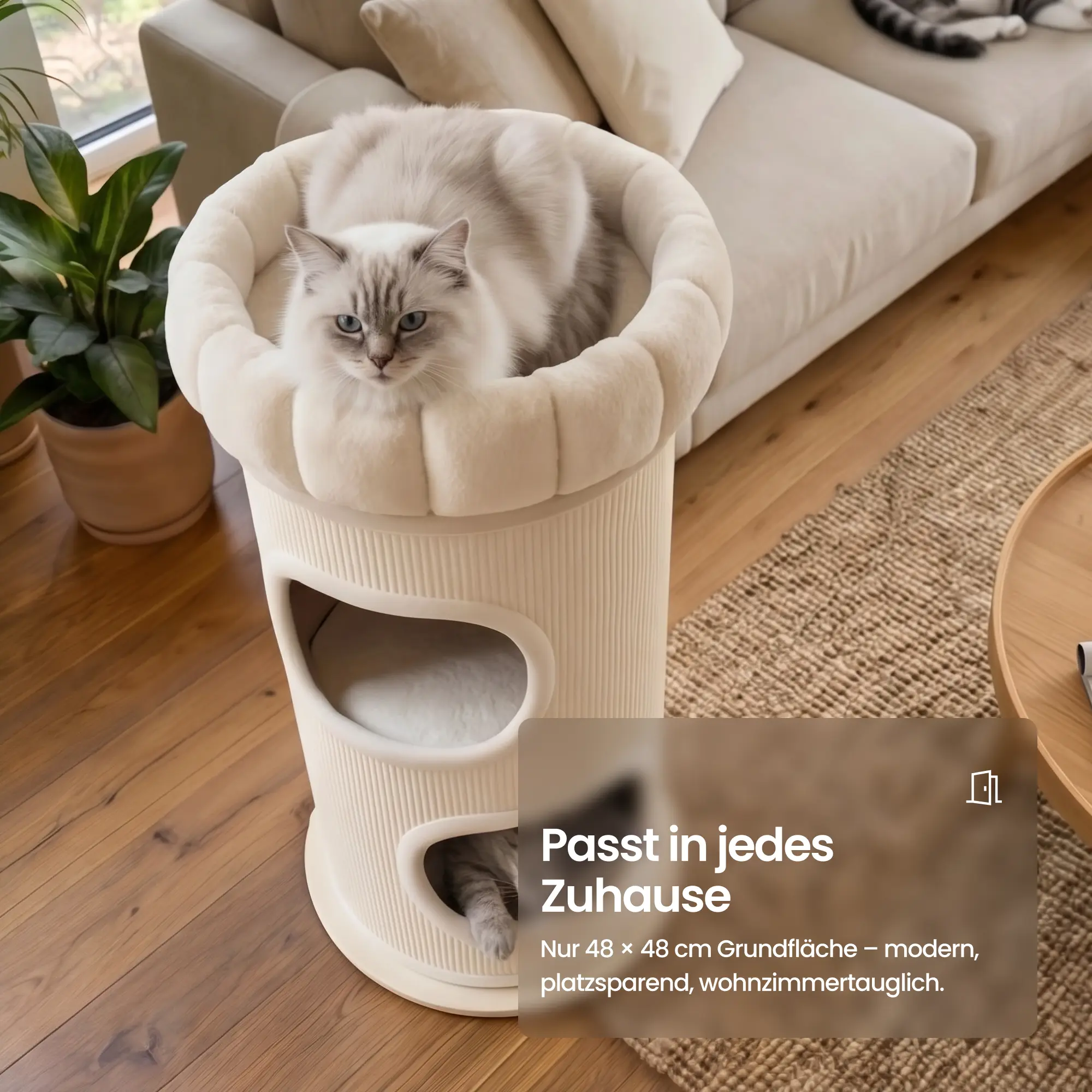 Cloud Paw - Scratching Board (Copy)