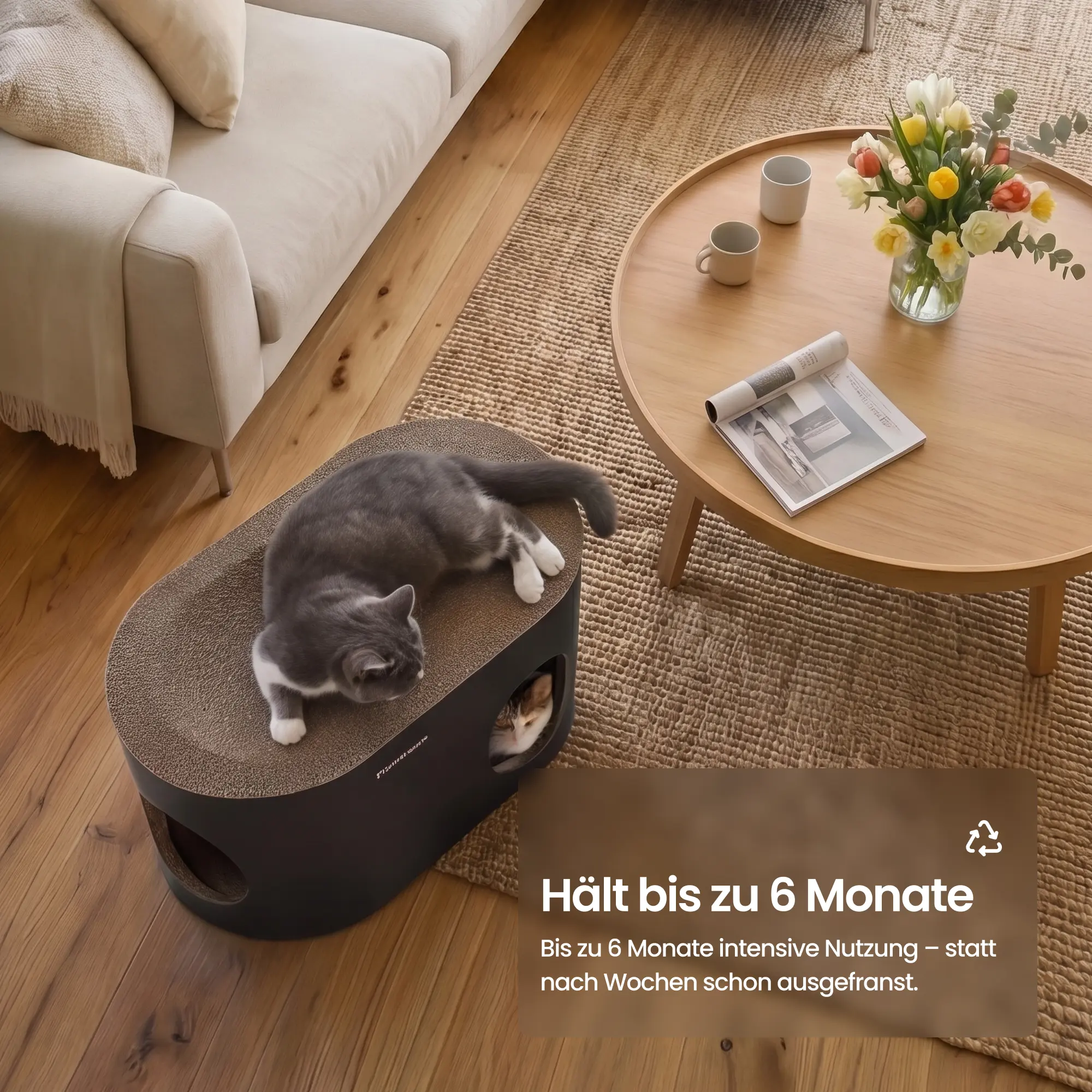 Safari Lodge cat cave with scratching board