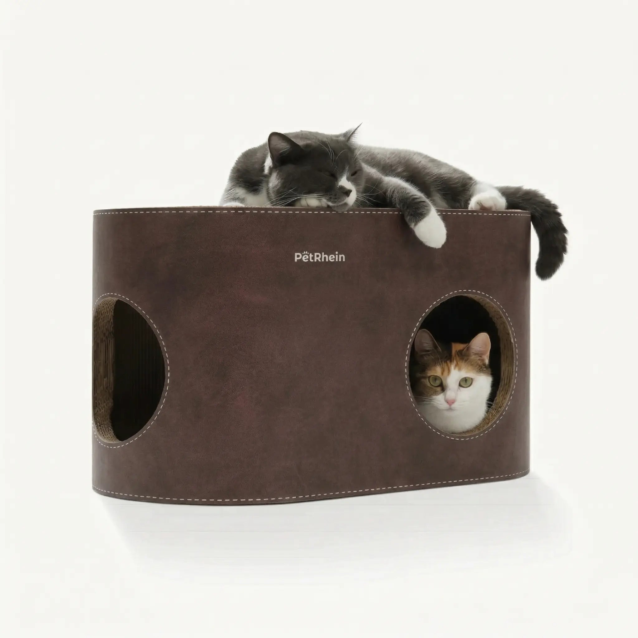 Safari Lodge Katzenhöhle mit Kratzbrett