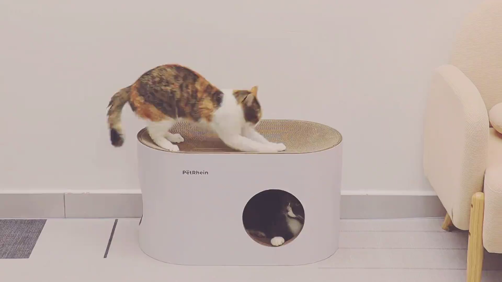 Video laden: