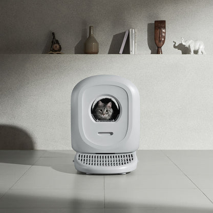 Jupiter Series Button