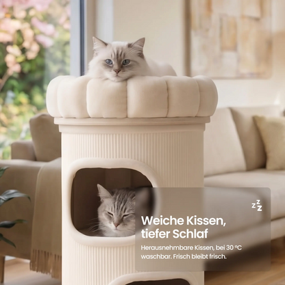 Cloud Paw - Scratching Board (Copy) 