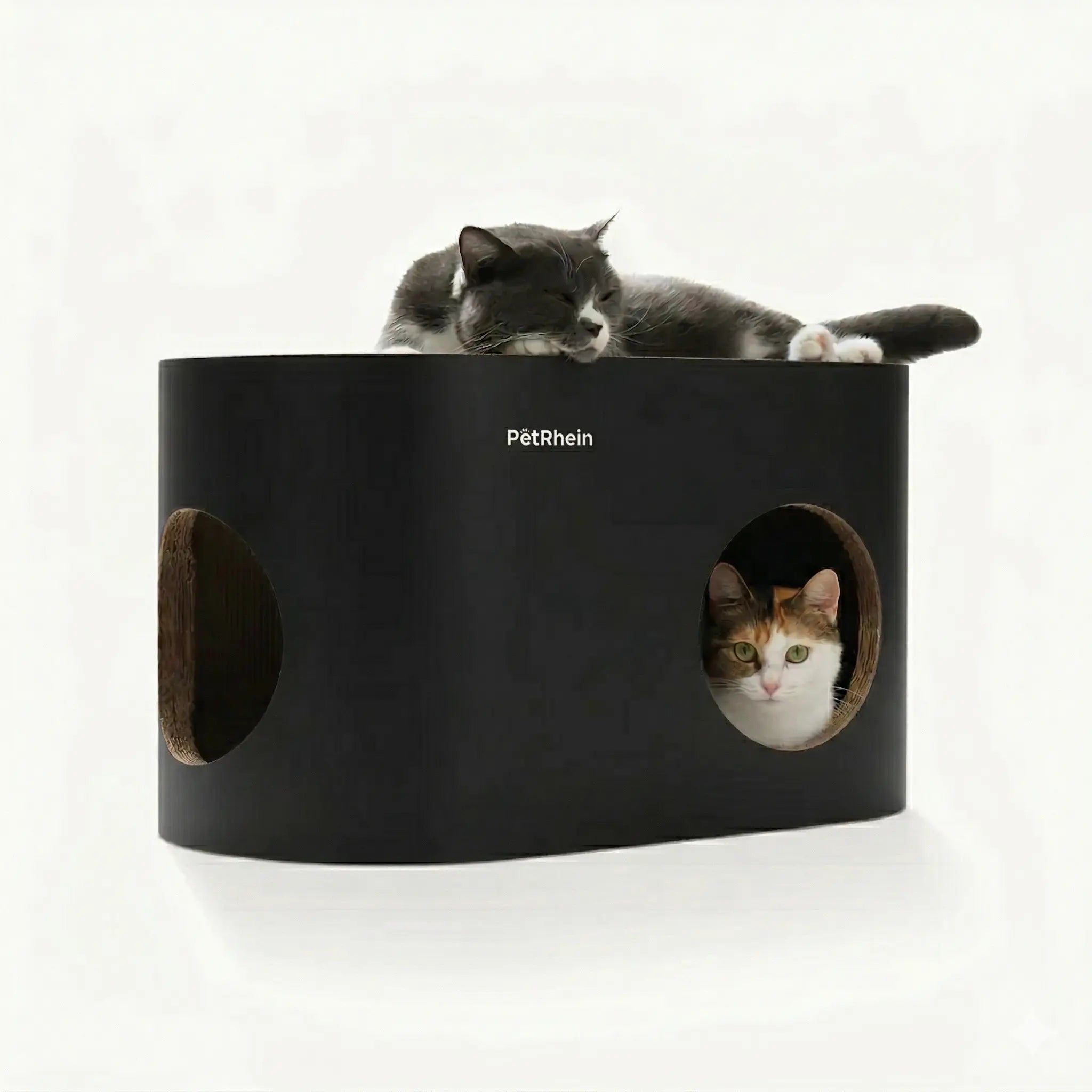 Safari Lodge Katzenhöhle mit Kratzbrett