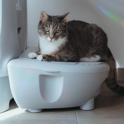 Jupiter Pro - Self-cleaning Cat toilet + smart app
