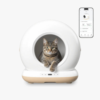 Neptune - Smart Home Set