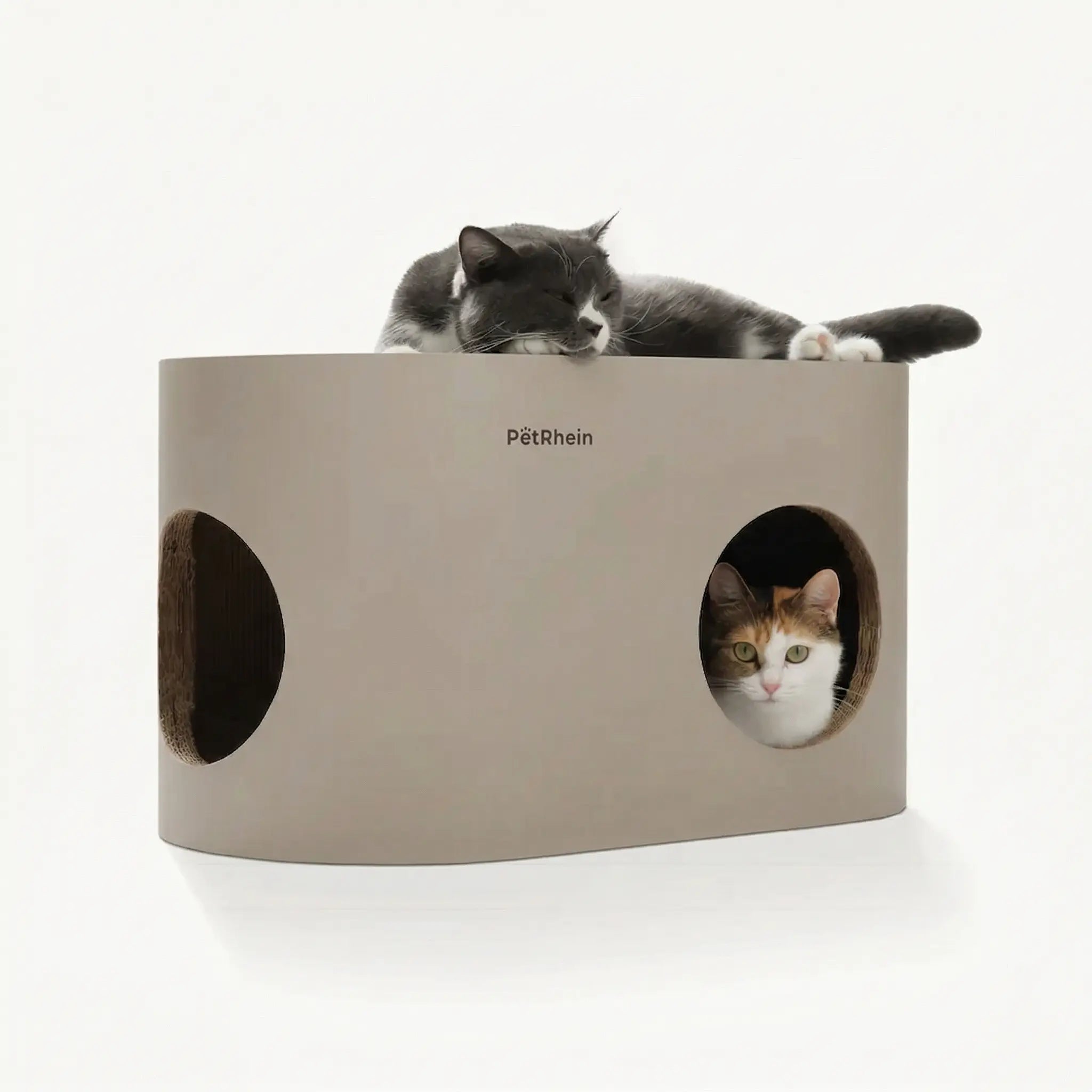 Safari Lodge Katzenhöhle mit Kratzbrett