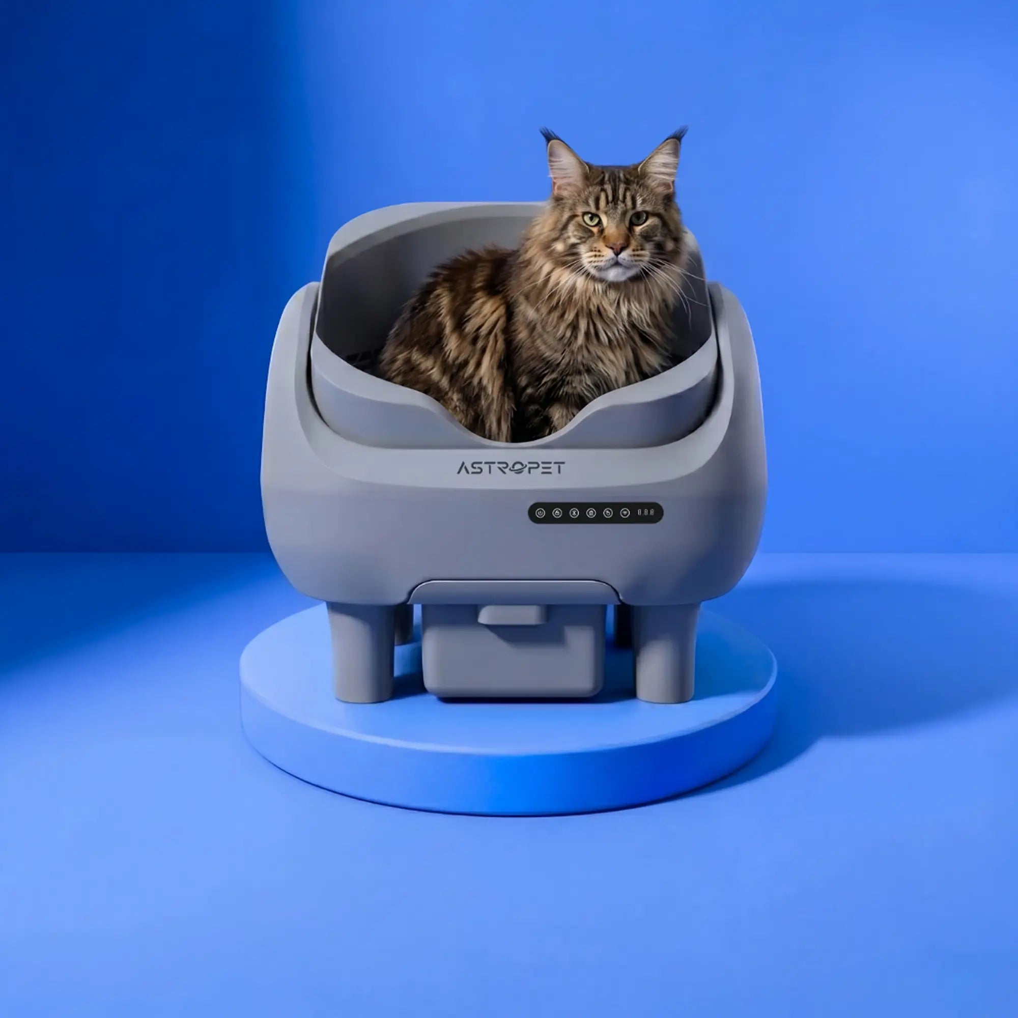 Venus - XXL Selbstreinigende Katzentoilette